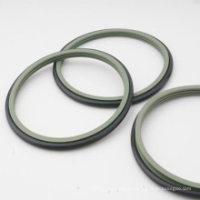 Selos de PTFE / selos de PTFE preenchidos com bronze